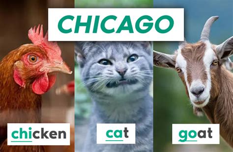 What is 3/7 Chicken 2/3cat 2/4 Goat Riddle Answer Explained.